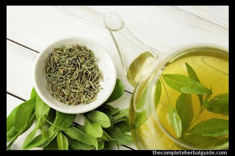 4 Drinks That Help Relieve UTI Symptoms Health and Natural Healing Tips