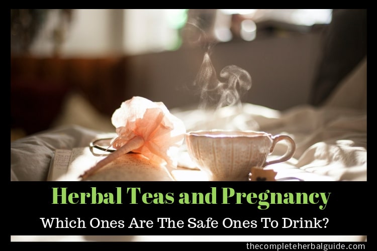 Herbal Teas and Pregnancy Which Ones Are The Safe Ones To Drink? Health and Natural Healing Tips