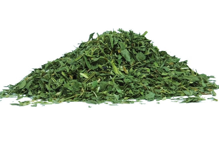 Benefits of the Herb Alfalfa Leaf Health and Natural Healing Tips