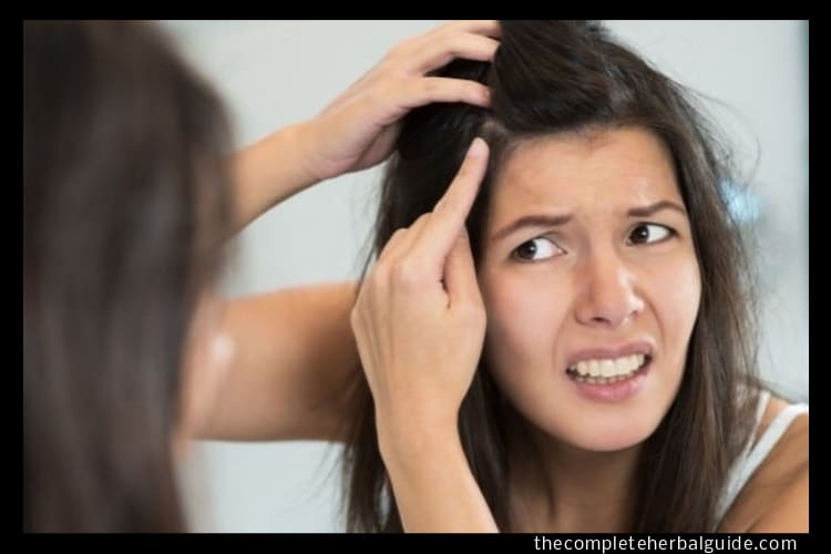 How to Grow Hair Faster 100 Tips for Growing Longer Hair Quickly Health and Natural Healing Tips