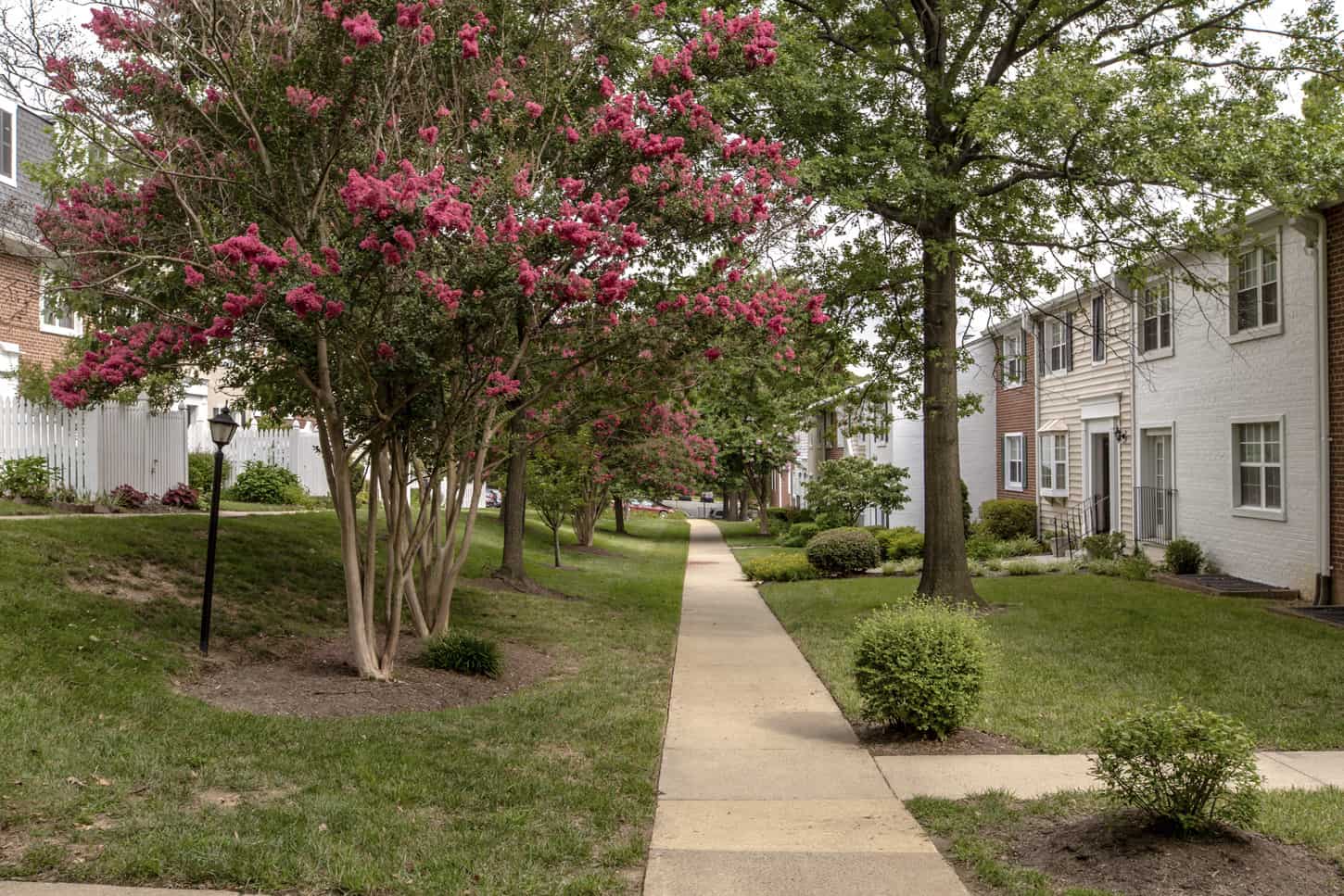 Arlington Village TheCondoHub Washington DC Metro area 1 condo site