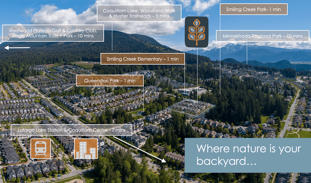 Amber Gate The Condo King