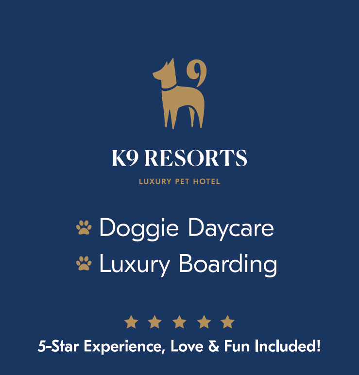 K9 Resorts The Connections Magazines New Jersey
