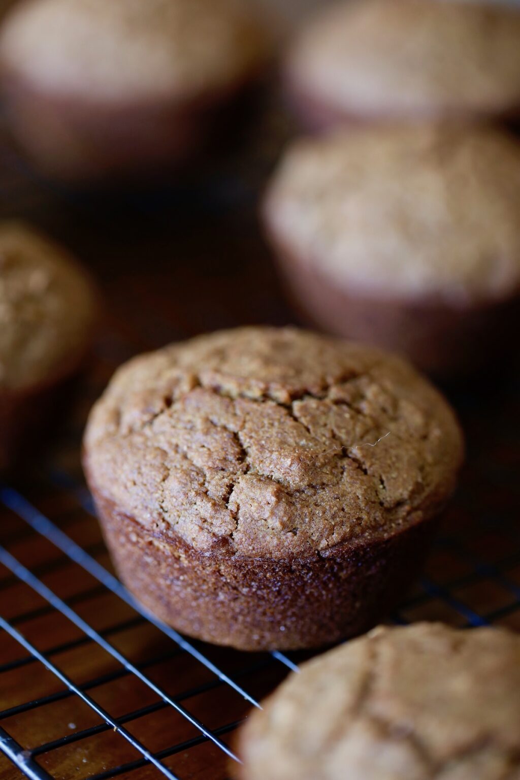 Vegan Raisin Bran Muffins The Conscientious Eater