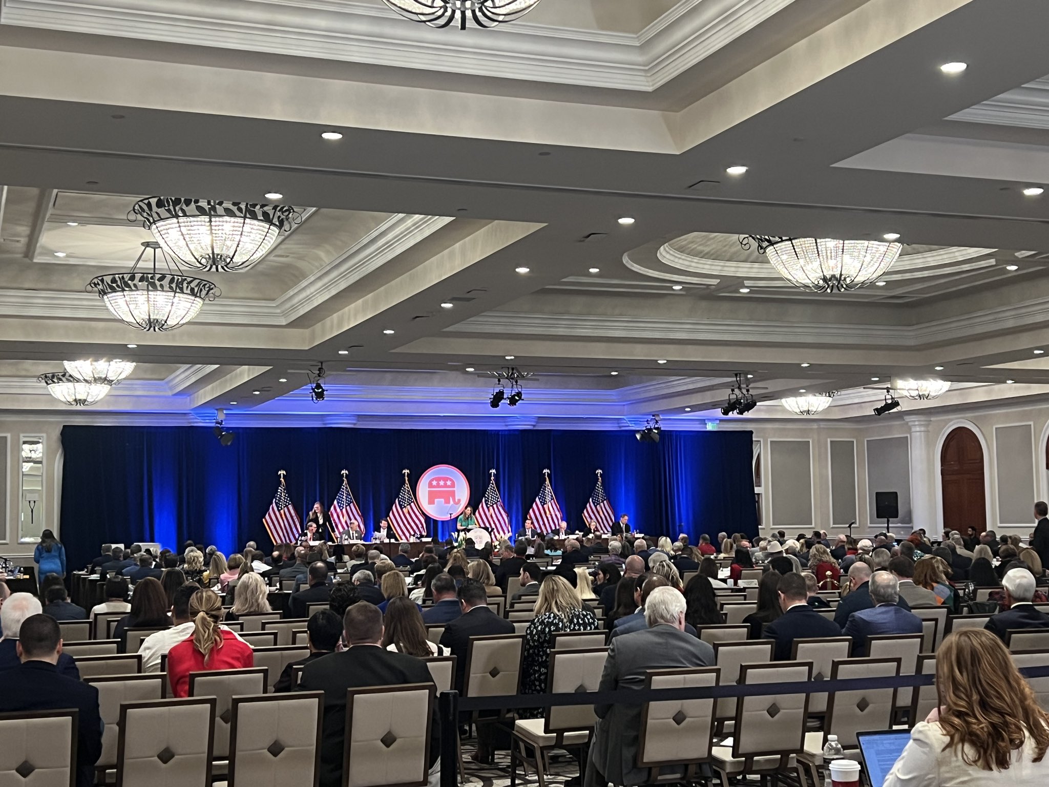 Breaking, Ronna McDaniel Wins Reelection as RNC Chair McDaniel (111