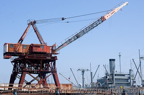 Mengenal Berbagai Jenis Crane yang Biasa Digunakan Dalam Konstruksi ikons.id