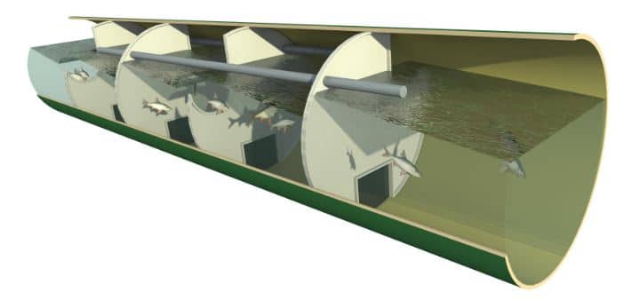 7 Types of Fish Ladders or Fishways