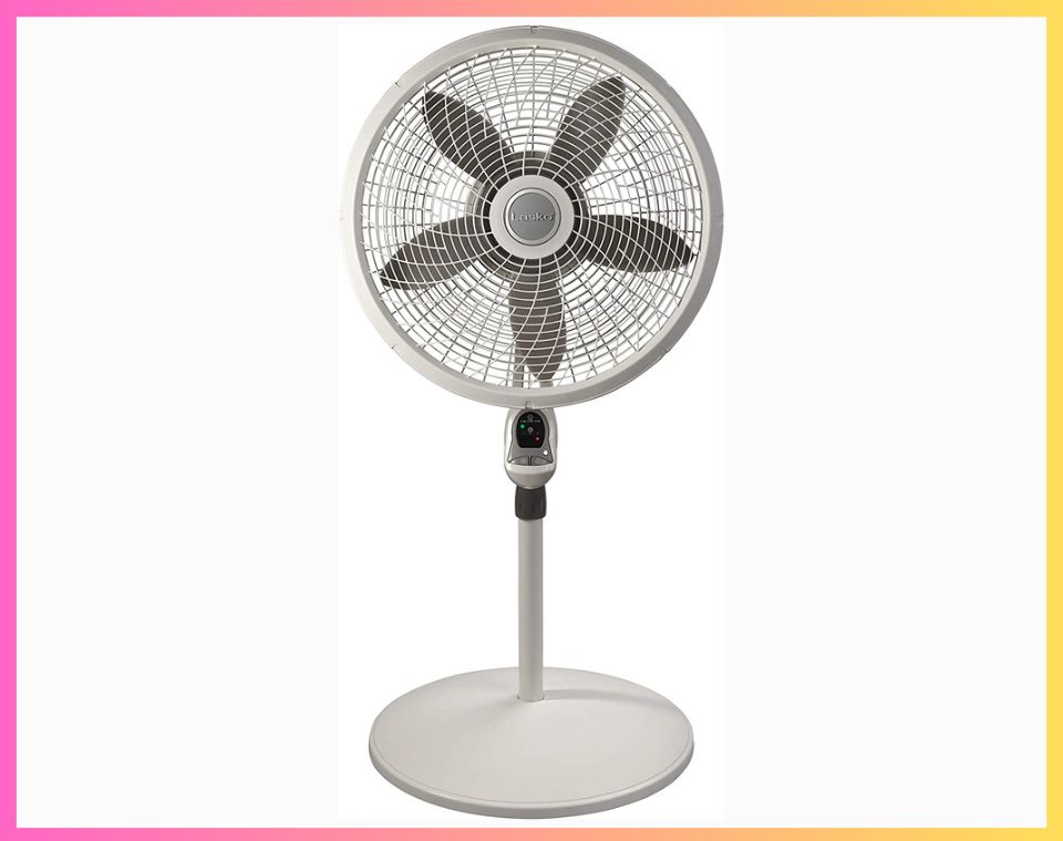 10 Best Pedestal Fans Consumer Reviews of 2023 The Consumer Guide