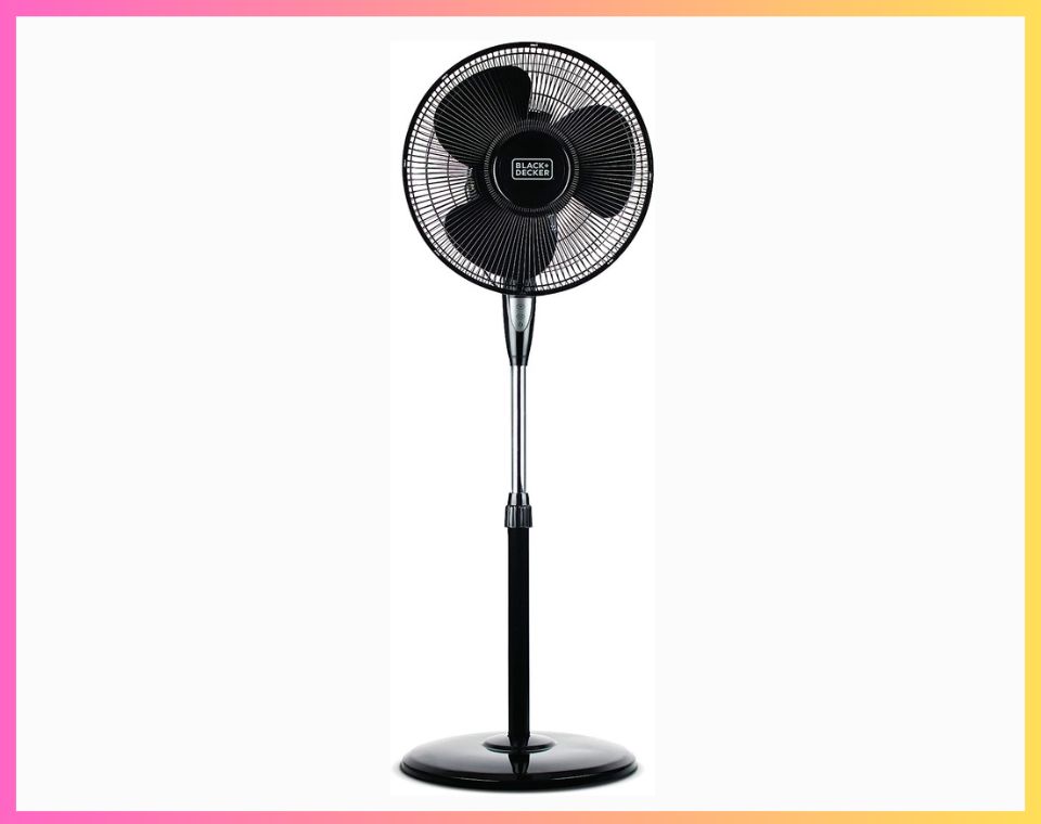 10 Best Pedestal Fans Consumer Reviews of 2023 The Consumer Guide