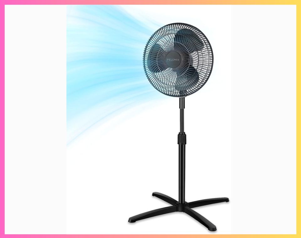 10 Best Pedestal Fans Consumer Reviews of 2023 The Consumer Guide