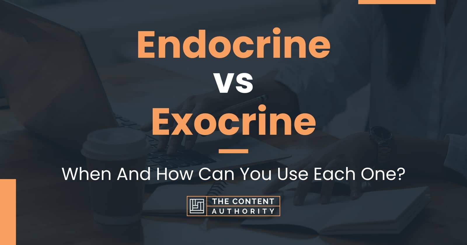 Endocrine vs Exocrine When And How Can You Use Each One?