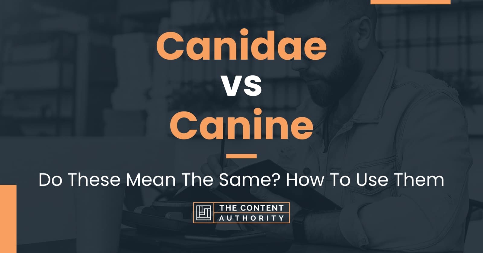 Canidae vs Canine Do These Mean The Same? How To Use Them