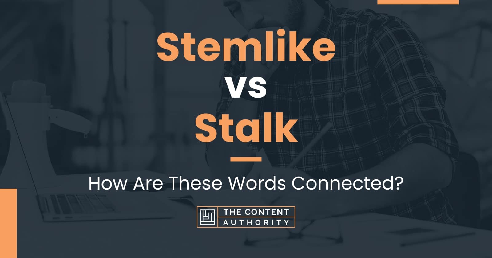 Stemlike vs Stalk How Are These Words Connected?