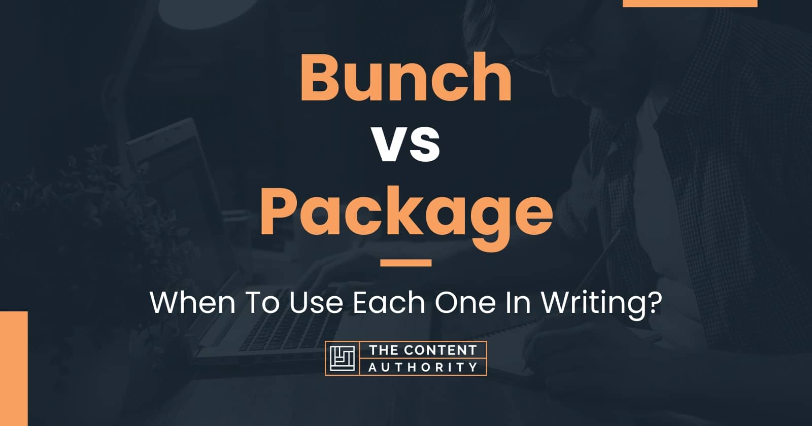 Bunch vs Package When To Use Each One In Writing?