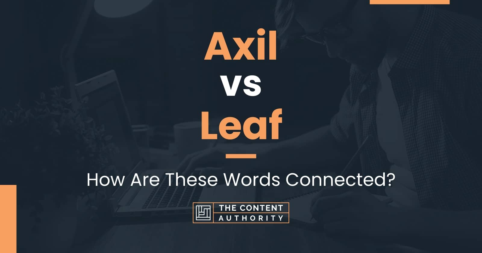 Axil vs Leaf How Are These Words Connected?