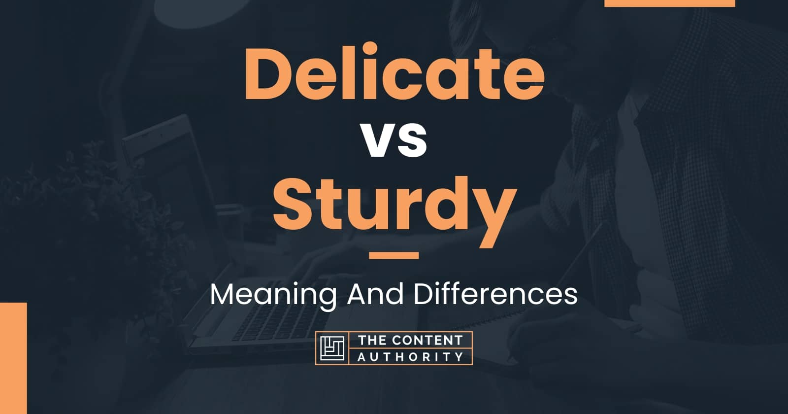 Delicate vs Sturdy Meaning And Differences