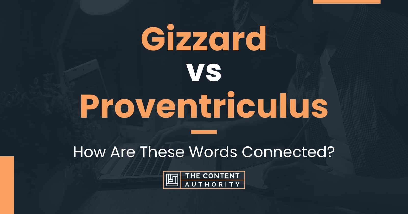 Gizzard vs Proventriculus How Are These Words Connected?