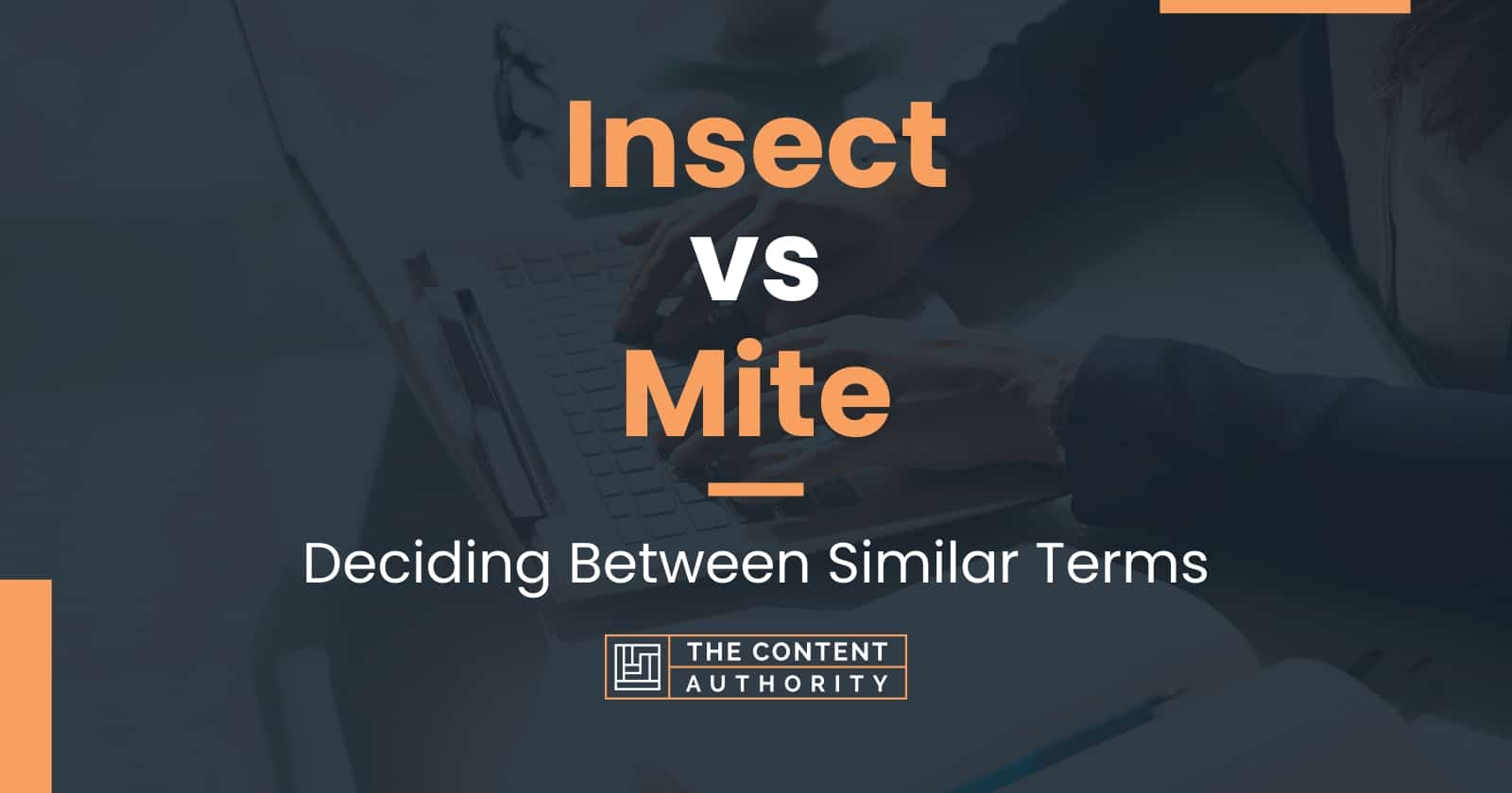 Insect vs Mite Deciding Between Similar Terms
