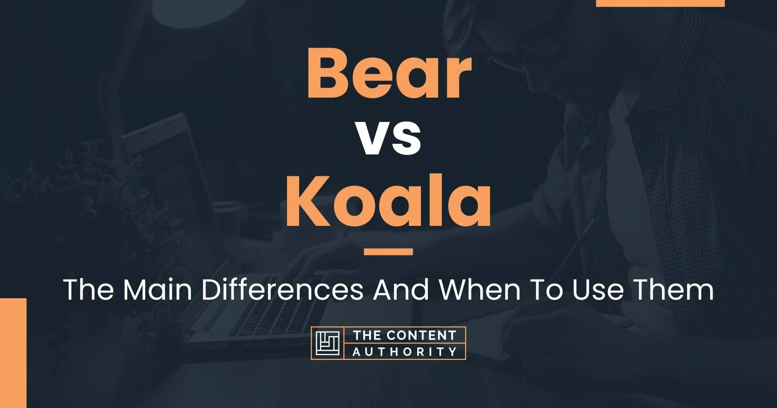 Bear vs Koala The Main Differences And When To Use Them