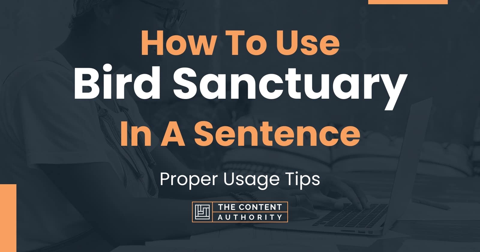 How To Use "Bird Sanctuary" In A Sentence Proper Usage Tips