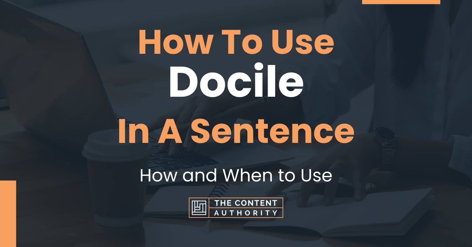How To Use "Docile" In A Sentence How and When to Use
