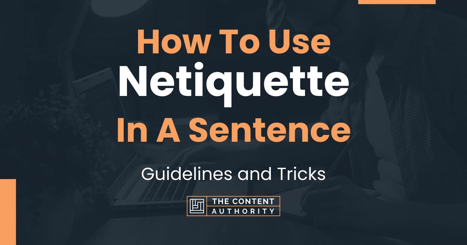 How To Use In A Sentence Guidelines and Tricks
