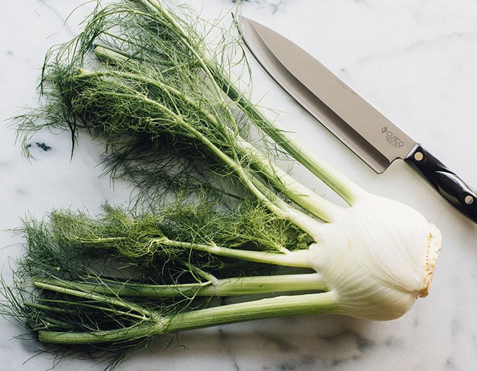 How To Cut a Fennel Bulb The Cookful