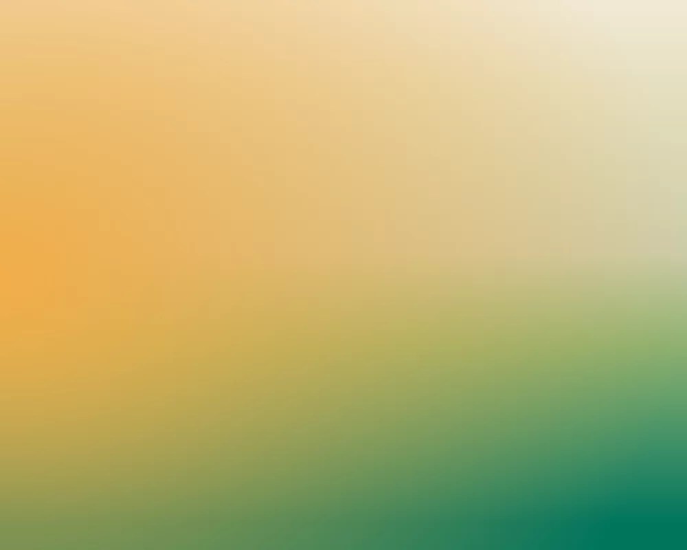 Point • Counterpoint Was it right to kill bin Laden? The Cord