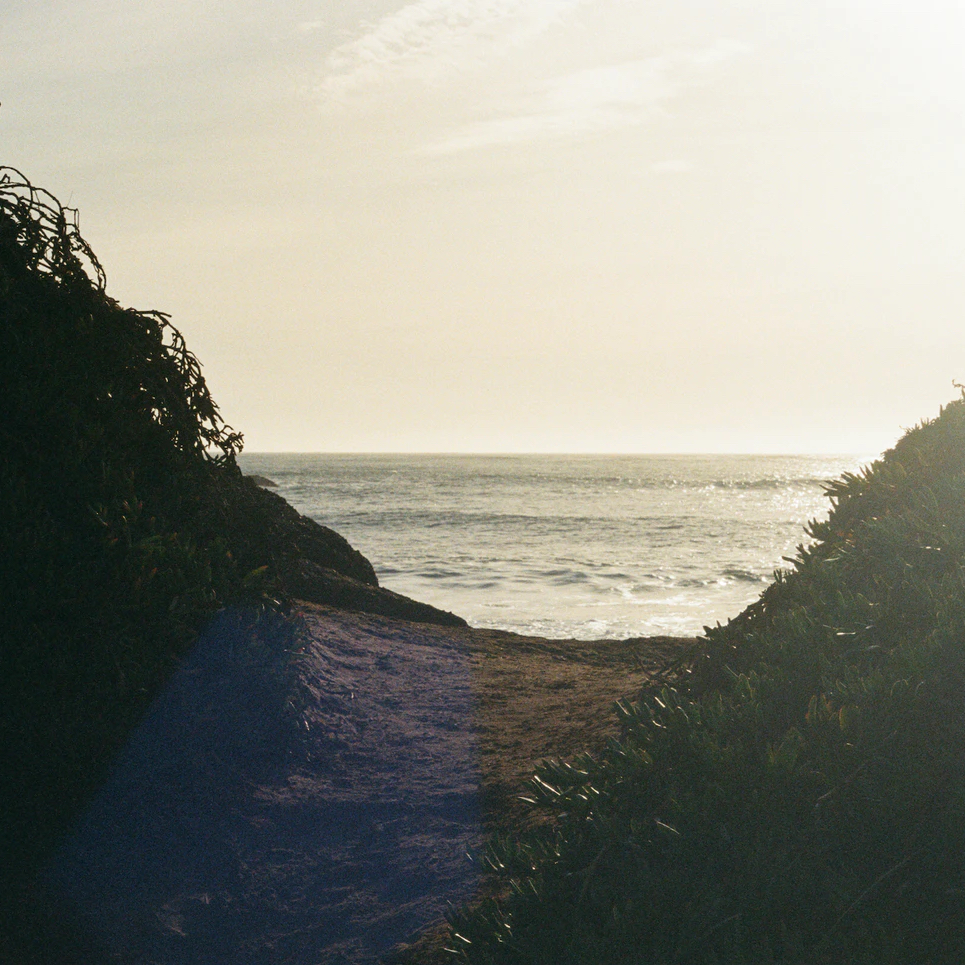 A story about showers, spiders, and creative curiosity. The Core Stories