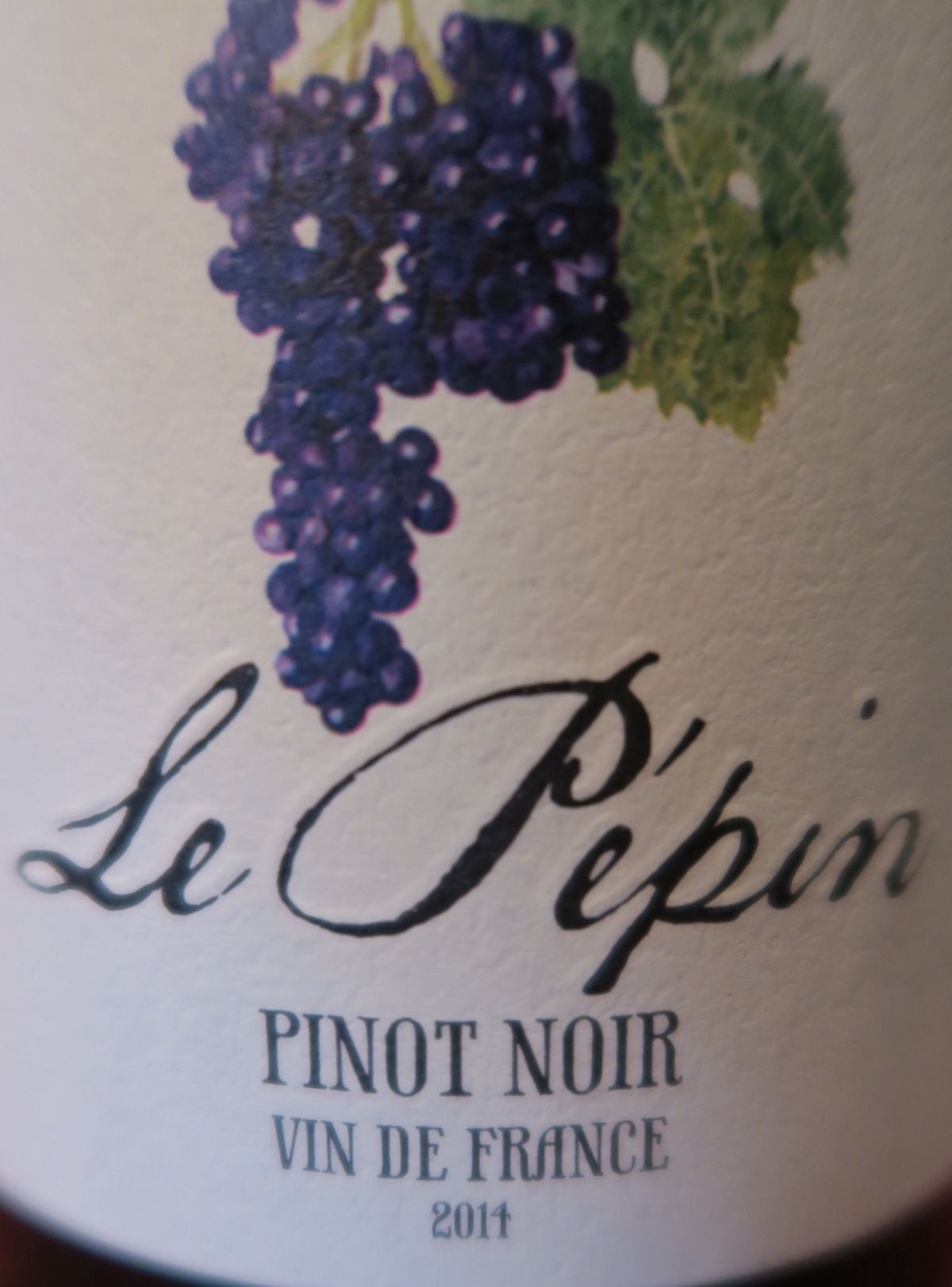 A "Good" Cheap Pinot Noir The Corkscrew Concierge™