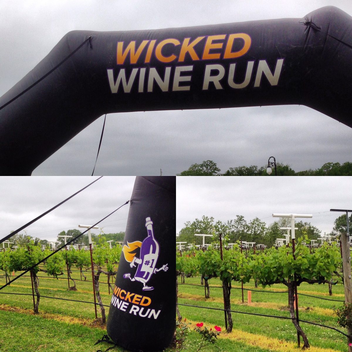 Running Wicked at Haak Vineyards and Winery The Corkscrew Concierge™