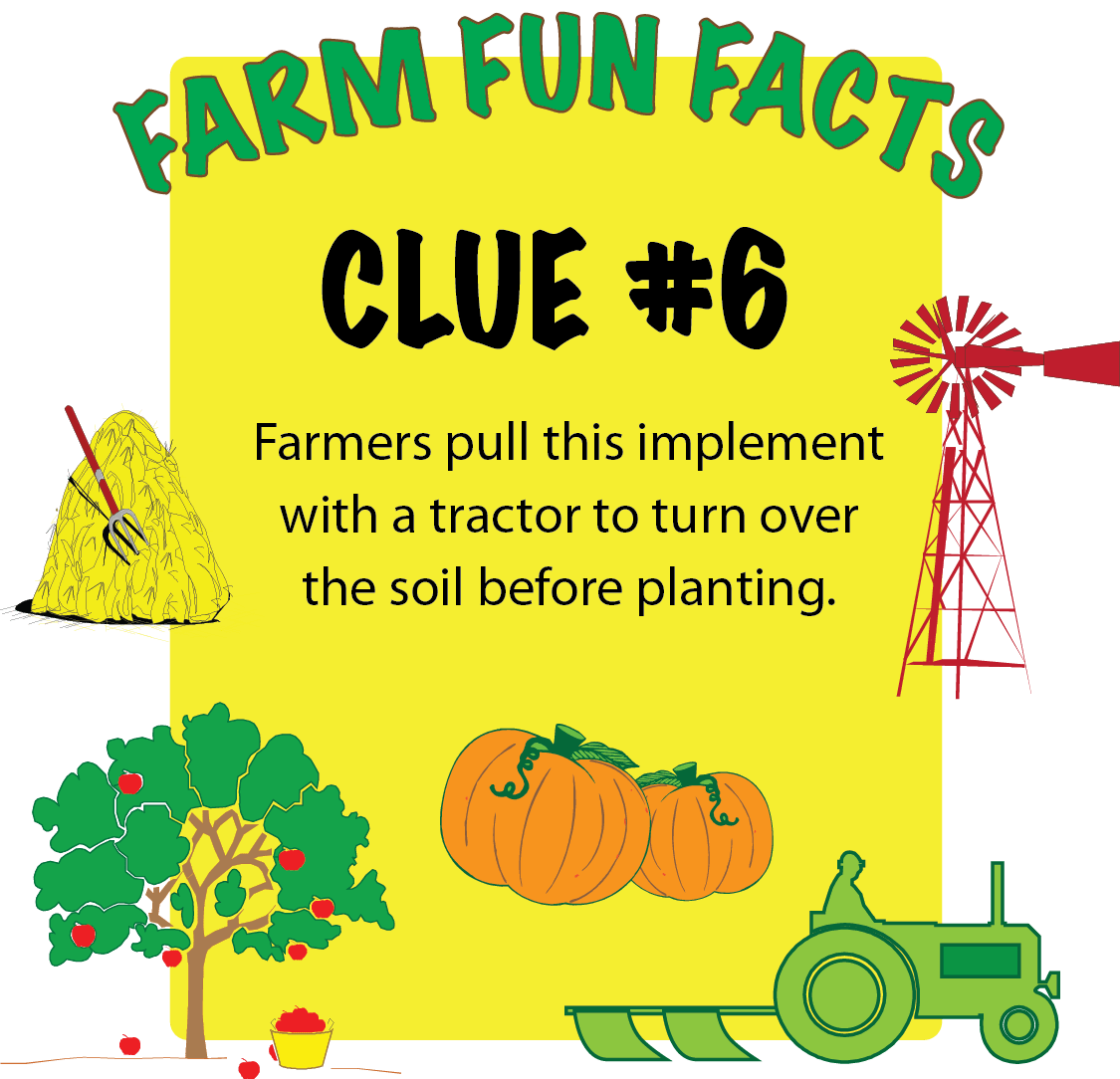 Corn Maze Games The Corn Maze Guy