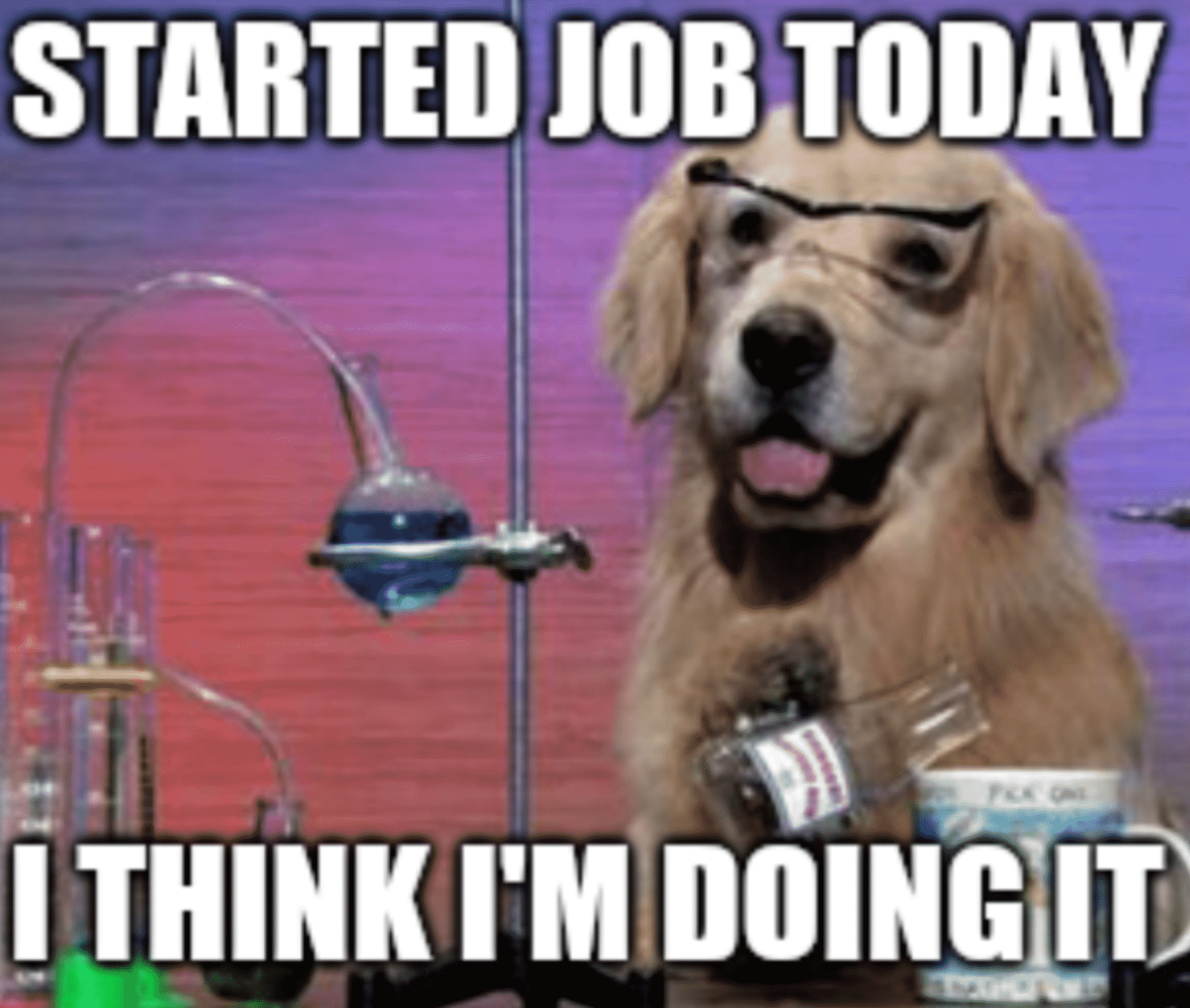 First Day on the Job Memes The Corporate Con/noisseur