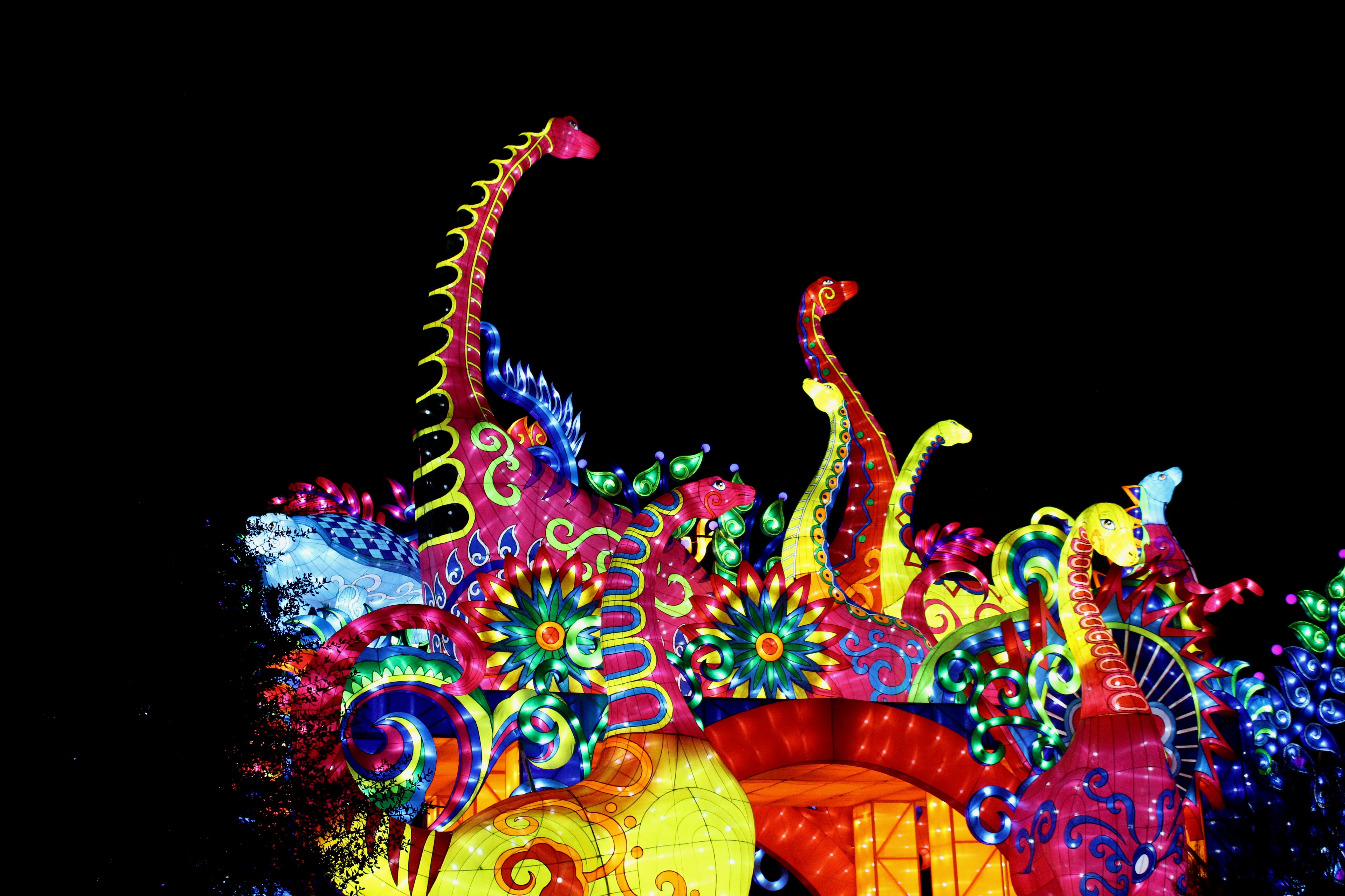 Especes En Voie D Illumination Une Balade Magique Au Jardin Des