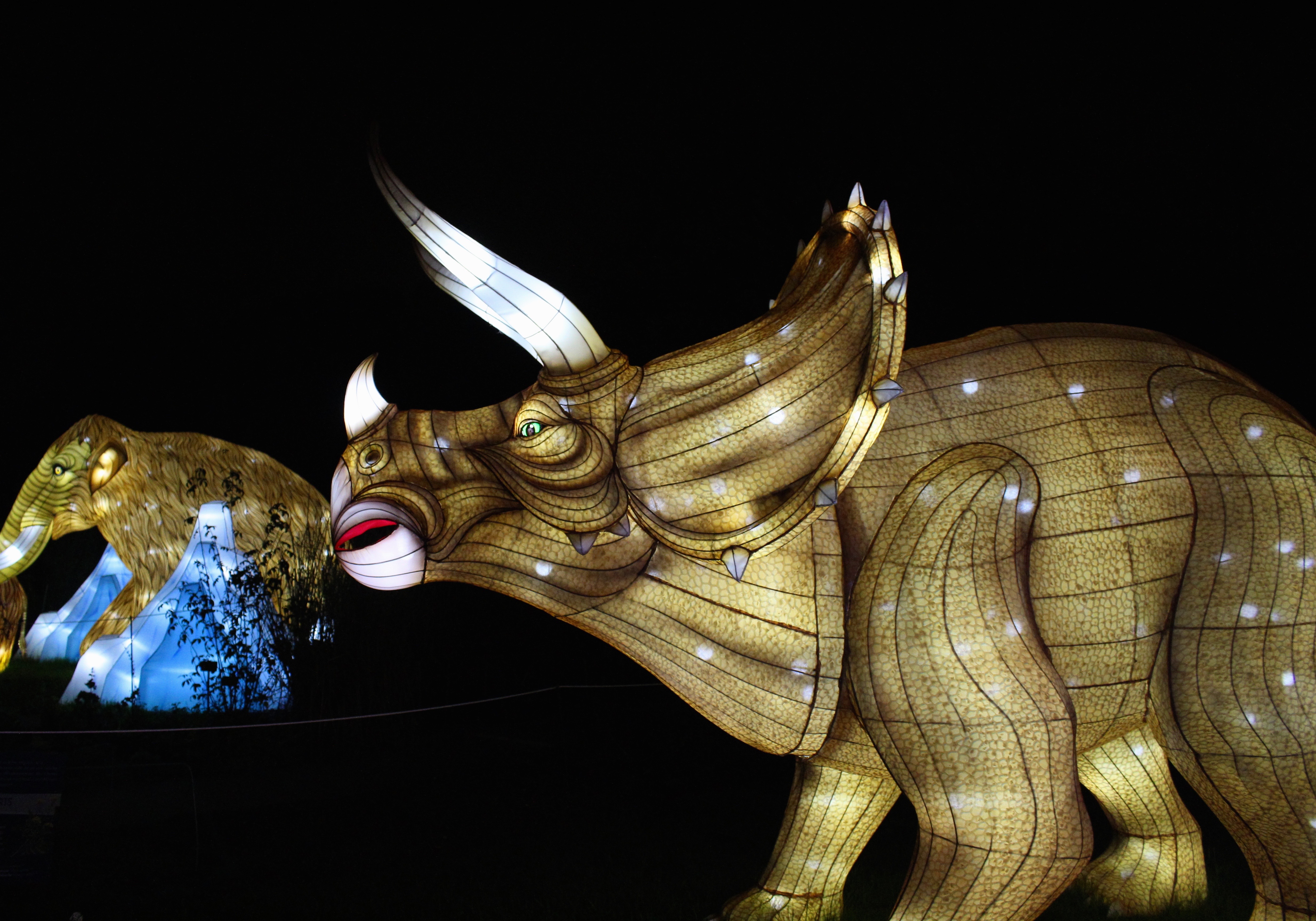 Especes En Voie D Illumination Une Balade Magique Au Jardin Des