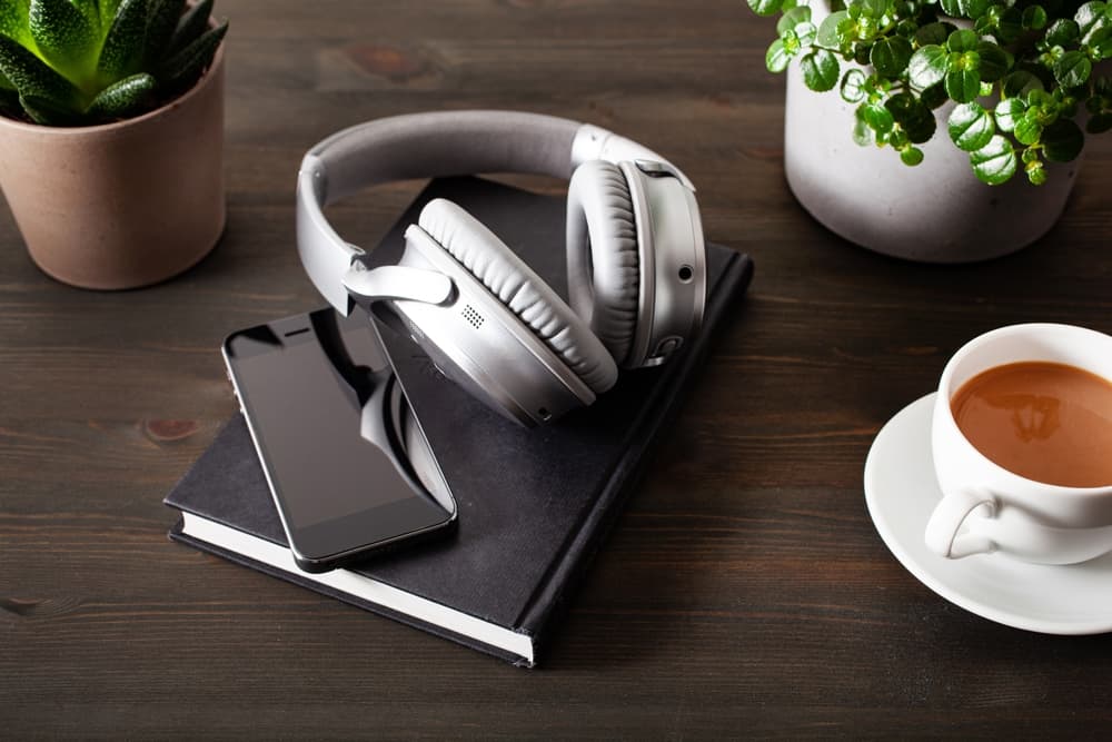 Why Are Audiobooks So Expensive? [6 Reasons 2024]