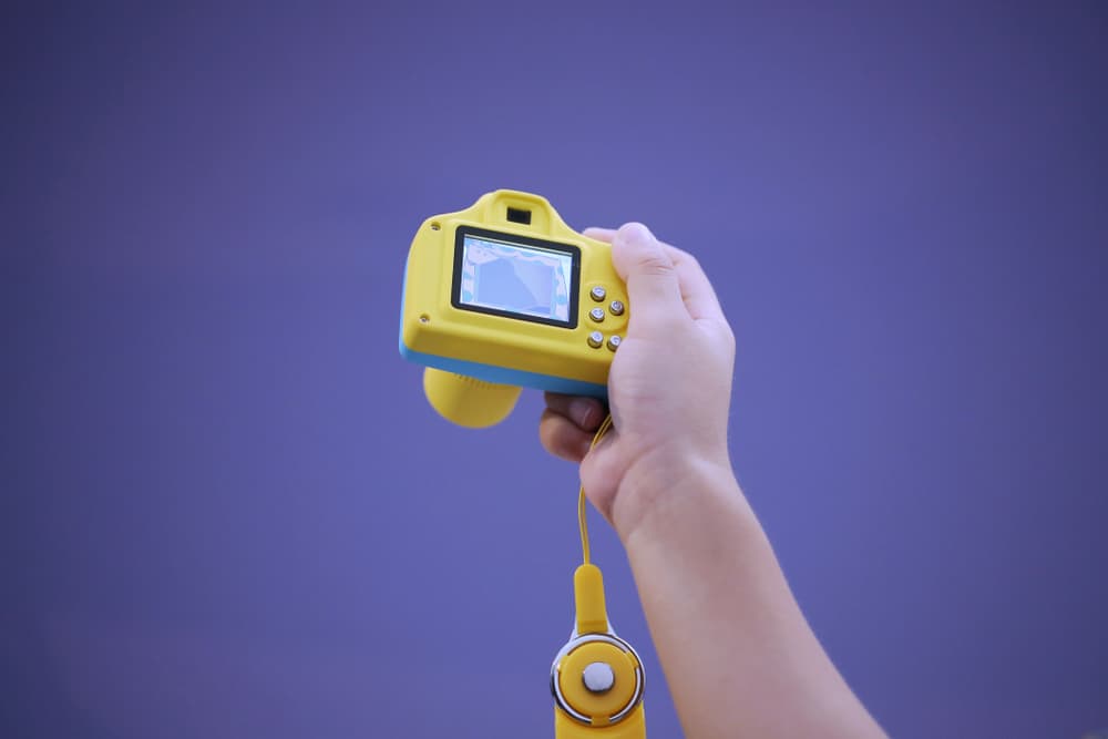 Why Are Disposable Cameras So Expensive? [8 Reasons 2024]