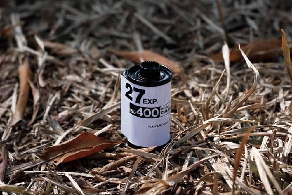 Why Are Disposable Cameras So Expensive? [8 Reasons 2024]