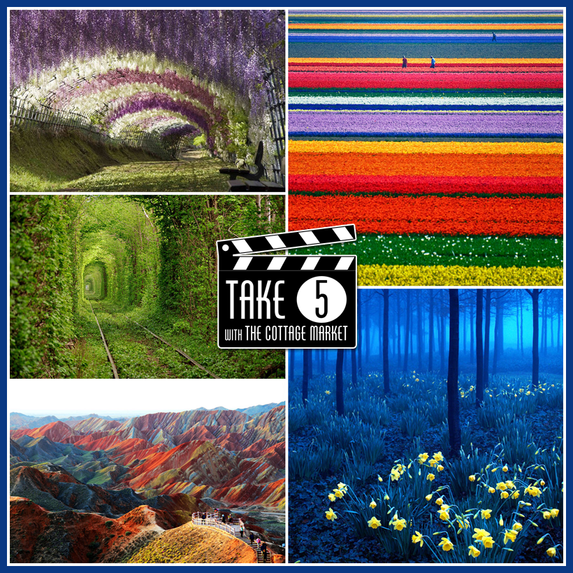 Take 5 Amazing Places in the World