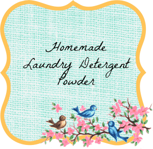 Homemade Laundry Detergent Powder Label