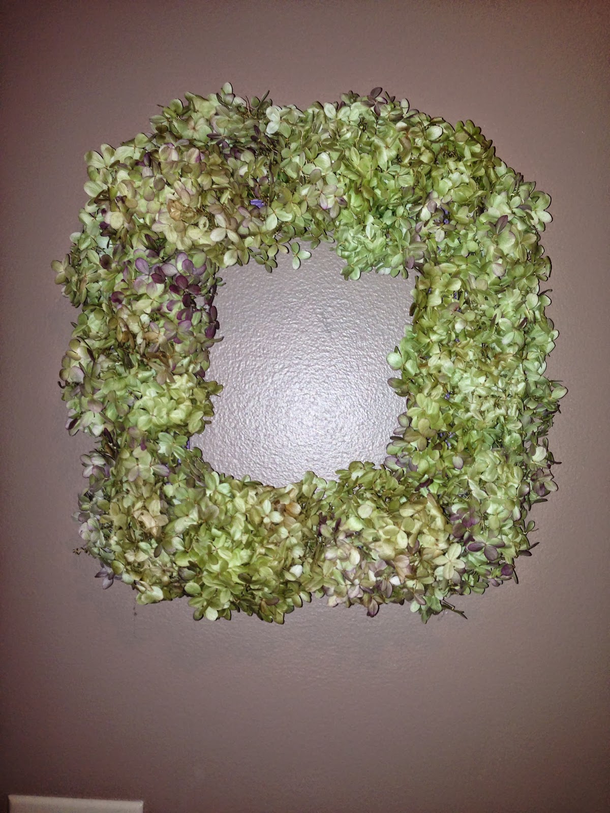 hydrangea1