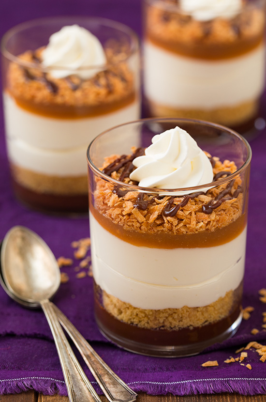 samoa-no-bake-cheesecakes3edit-srgb.