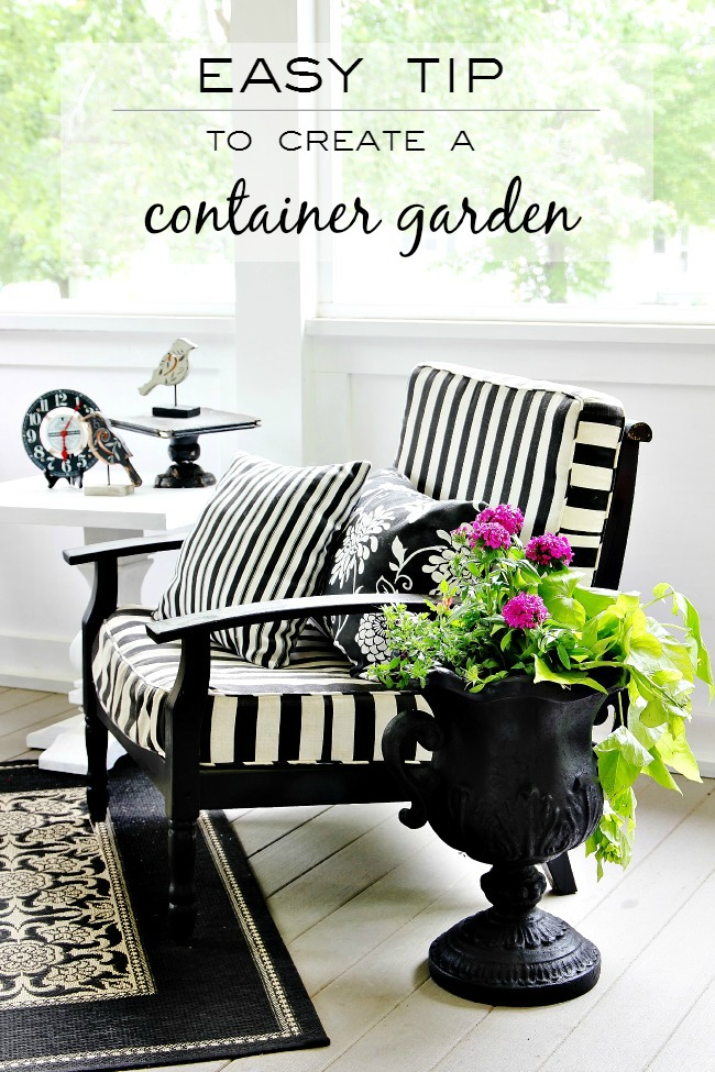 easy-tip-to-create-a-container-garden