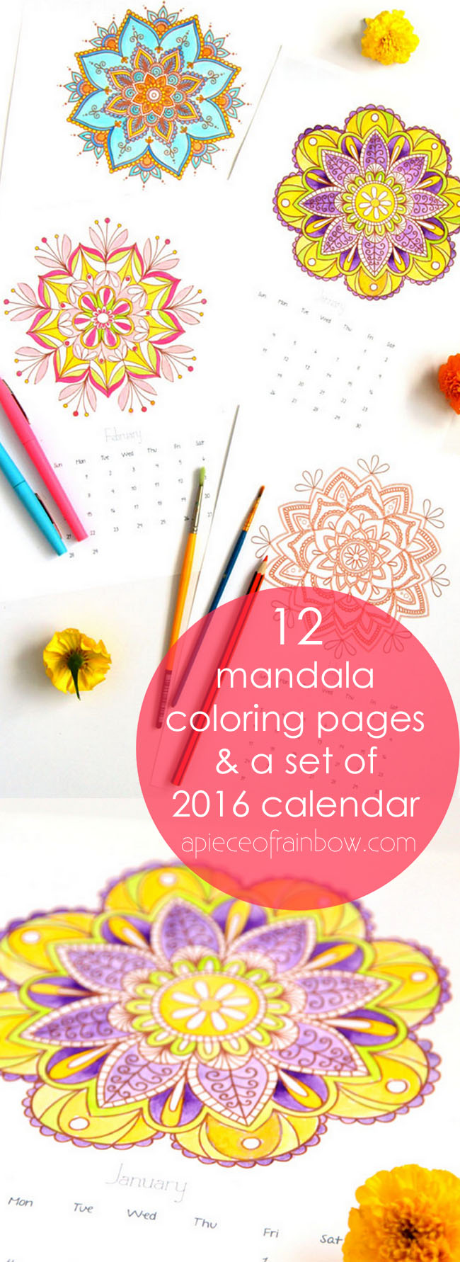 Calendar3