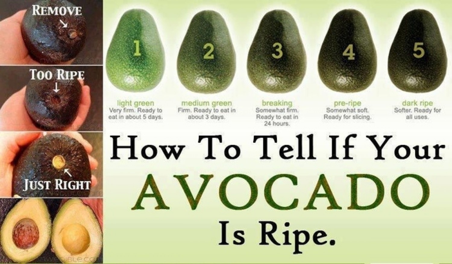 LifeHacks12