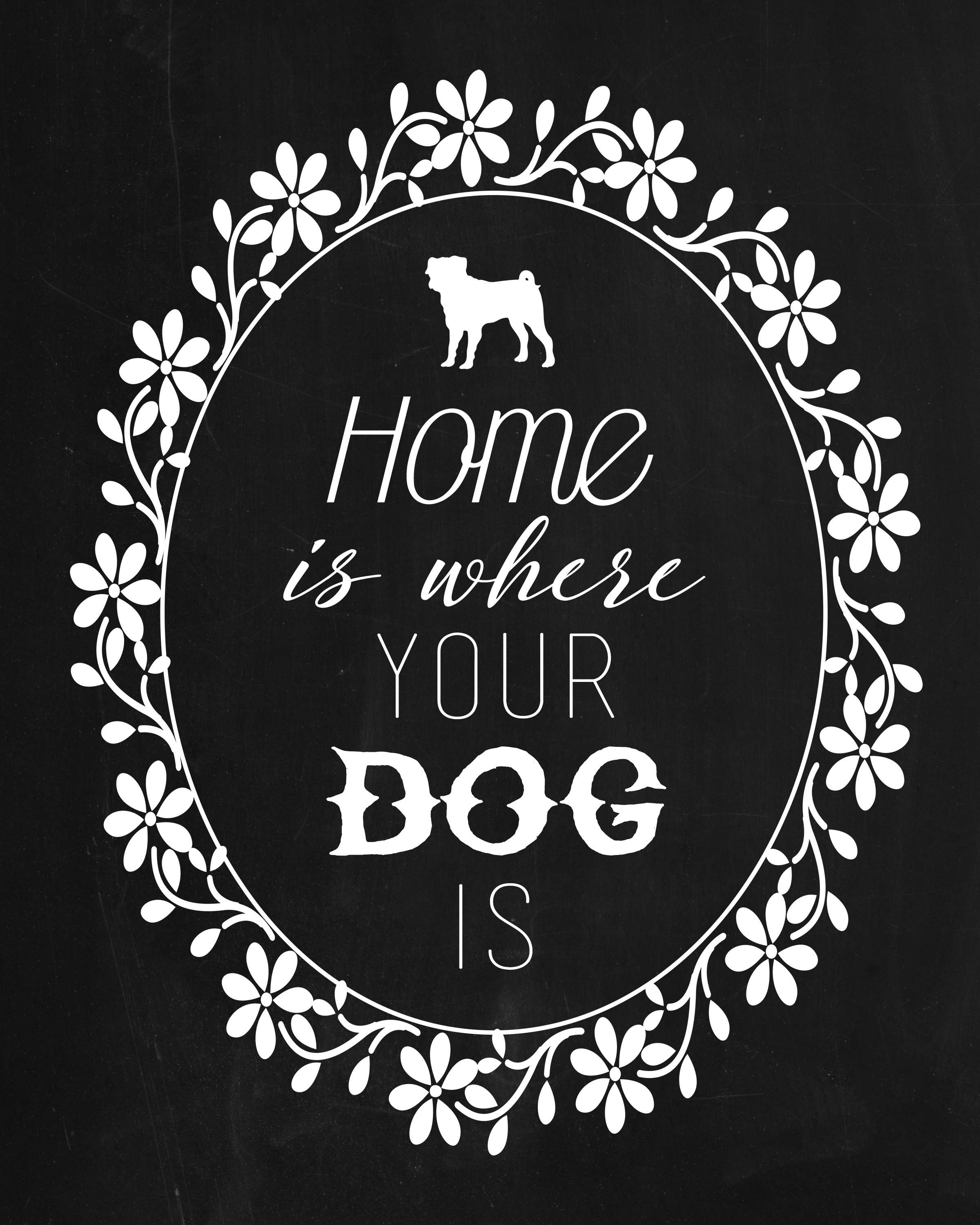 TCM-HomeIs-Pug