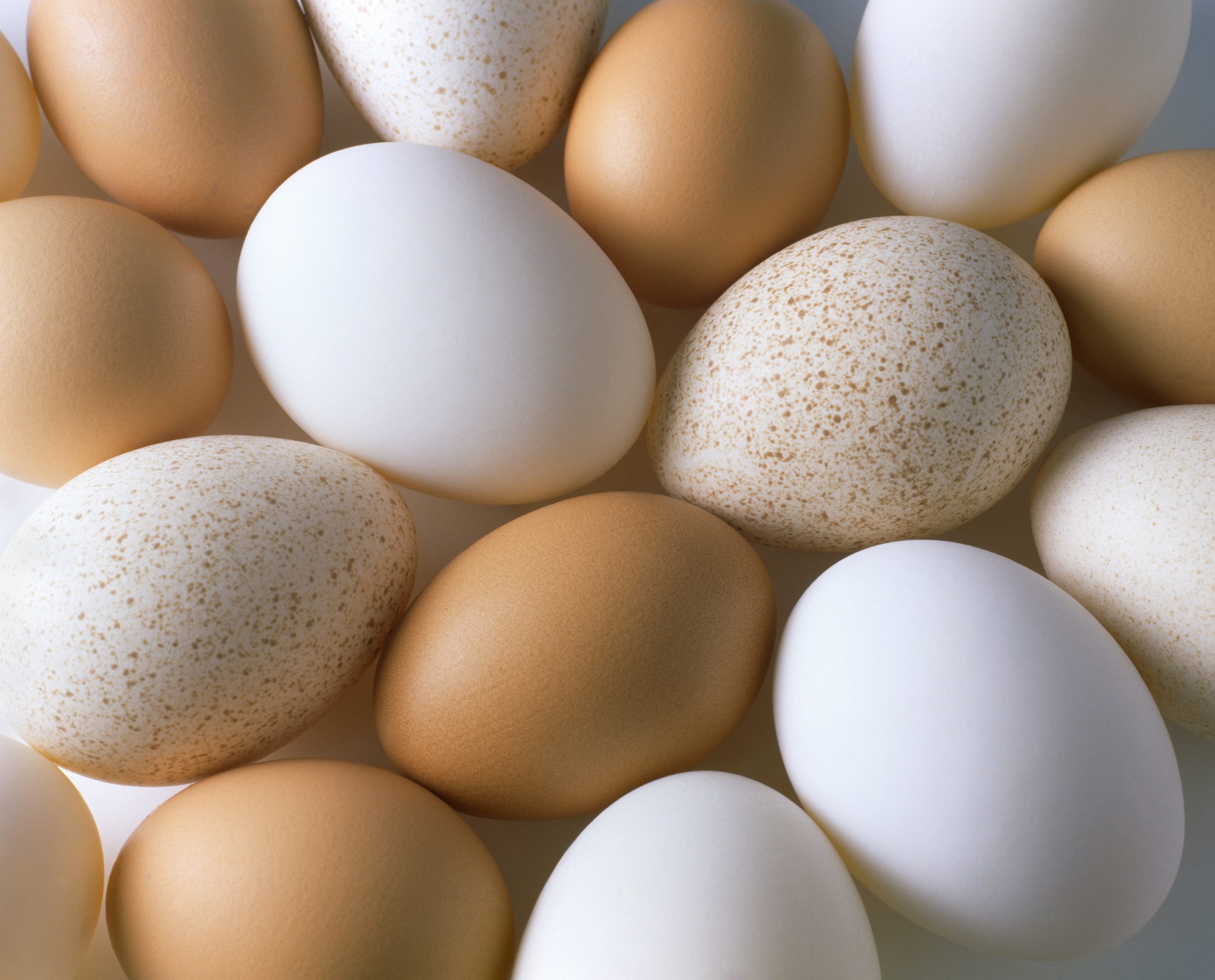 Selection of goose, duck and chicken eggs