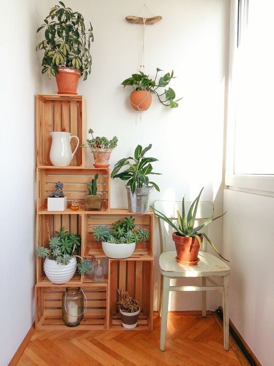 Cozy Wooden Boxes And Greenery Filled Sunroom