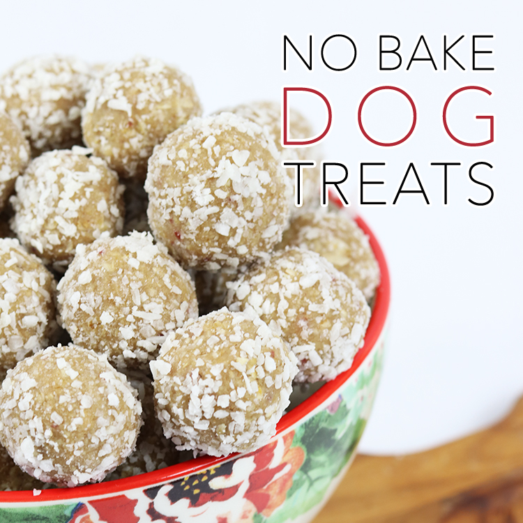 It's a special day today...It's National Dog Day and we are celebrating with Dog DIYS, Treats, Toys, Coats & More National Dog Day Rocks...Hugs to the pups
