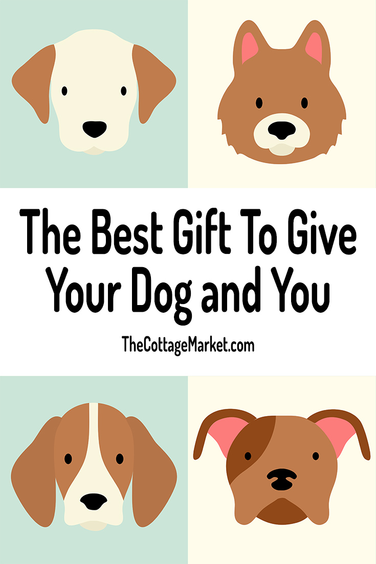 It's a special day today...It's National Dog Day and we are celebrating with Dog DIYS, Treats, Toys, Coats & More National Dog Day Rocks...Hugs to the pups